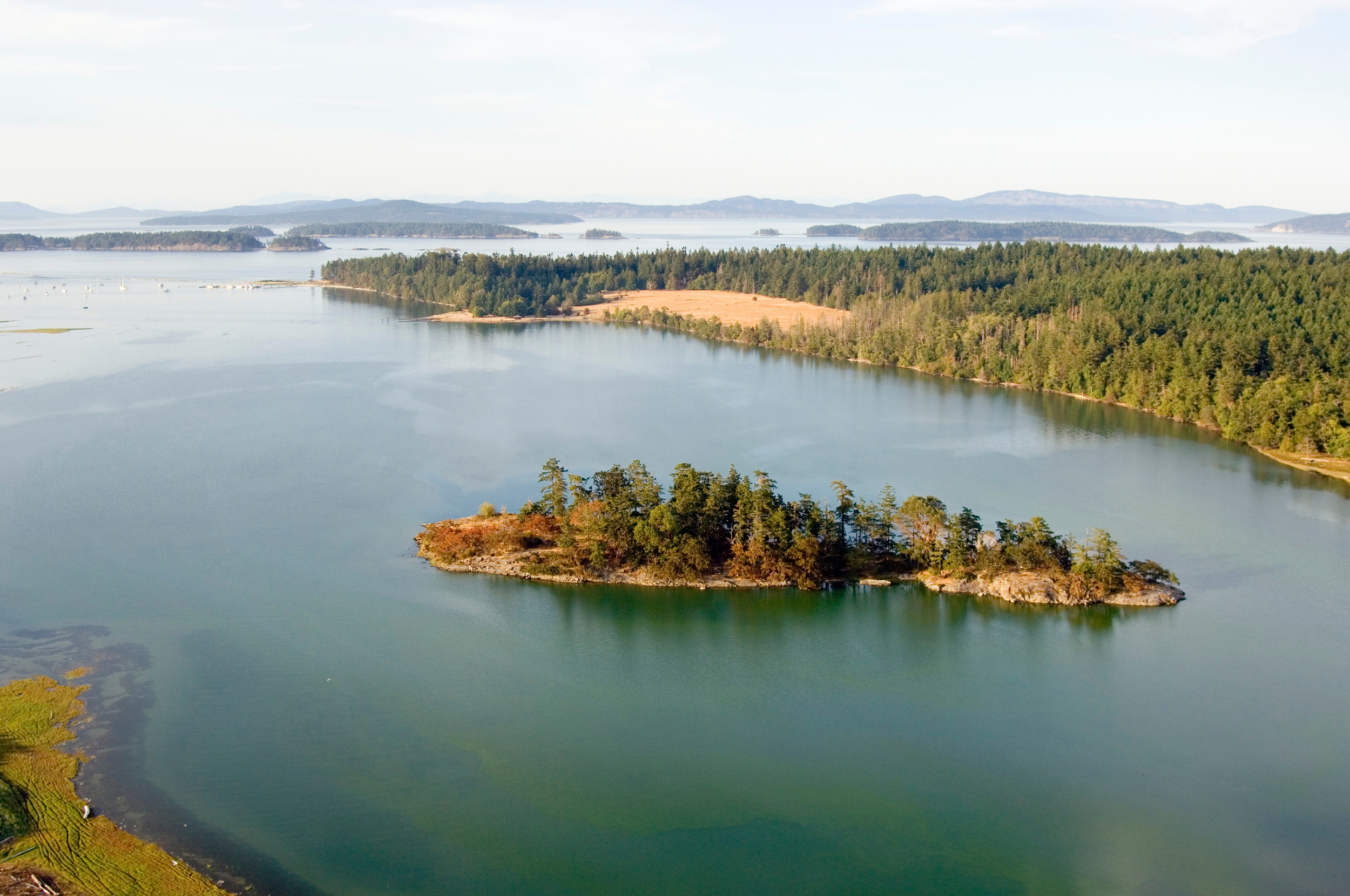 Aerial view of water near Victoria, BC.